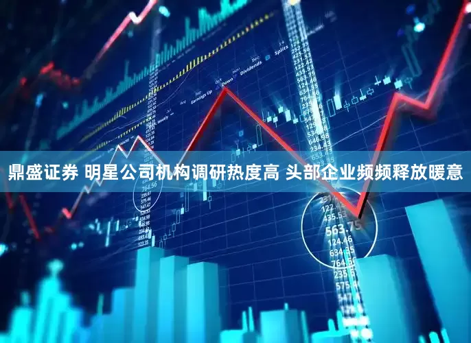 鼎盛证券 明星公司机构调研热度高 头部企业频频释放暖意