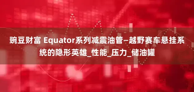 豌豆财富 Equator系列减震油管—越野赛车悬挂系统的隐形英雄_性能_压力_储油罐