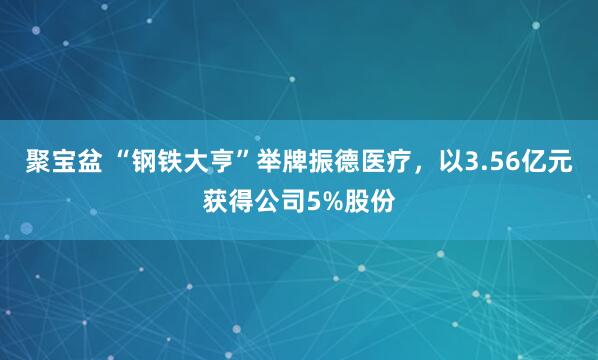聚宝盆 “钢铁大亨”举牌振德医疗，以3.56亿元获得公司5%股份