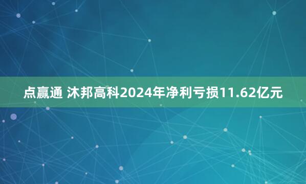 点赢通 沐邦高科2024年净利亏损11.62亿元