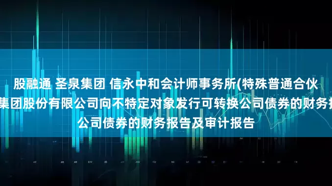 股融通 圣泉集团 信永中和会计师事务所(特殊普通合伙)关于济南圣泉集团股份有限公司向不特定对象发行可转换公司债券的财务报告及审计报告